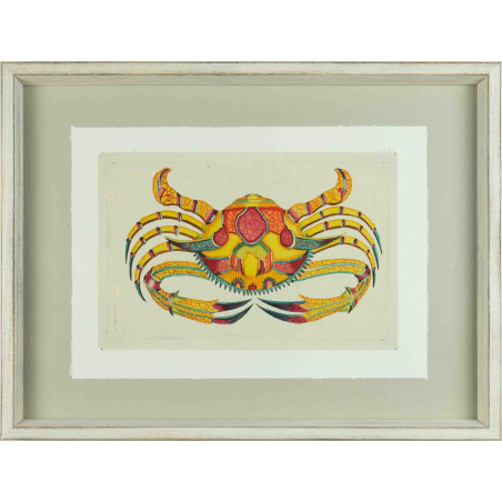 Cuadro con dibujo de colorido crustáceo