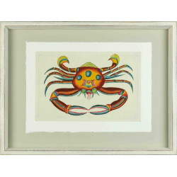 Cuadro con dibujo de colorido crustáceo