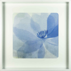 Cuadro flores en tonos azulados