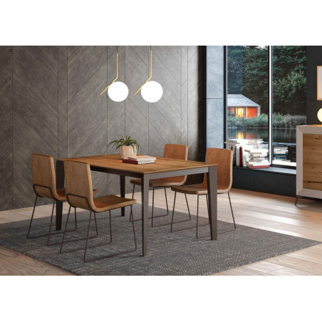 Ambiente de comedor  con mesa rectangular extensible en combinación de sobre de chapa natural y estructura y patas lacadas